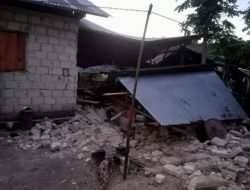 Pasca Gempa, Kepala BNPB Akan Kunjungi Maluku