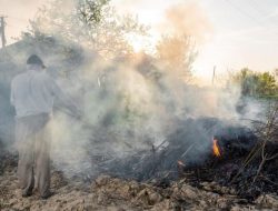 Posting Bakar Sampah di Kota Palu Didenda Rp1 Juta, Instagram Wali Kota Palu Diserbu Warganet