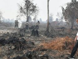 Jokowi Akan Copot Kapolda/Pangdam Jika Terjadi Karhutla