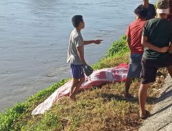 Satu remeja korban terseret arus sungai berhasil ditemukan di Sungai Palu (BPBD Sulteng)