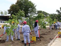 Huabao Morowali Menanam Ratusan Pohon di Area PLTU