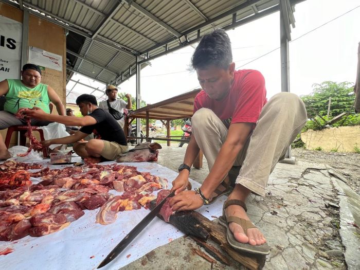 PT CPM Salurkan Puluhan Hewan Kurban di Lingkar Tambang