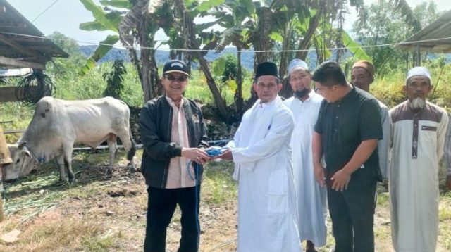 Anggota DPR RI Longki Djanggola Serahkan Sapi Kurban untuk Warga Watumaeta Poso