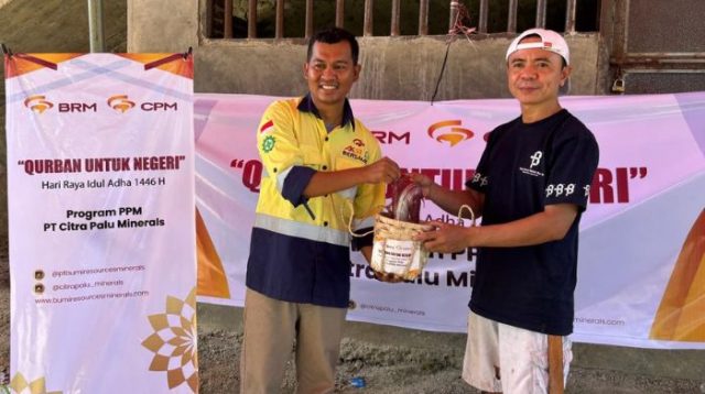 Idul Adha 1446 H, PT CPM Salurkan 34 Sapi Kurban untuk Warga Lingkar Tambang