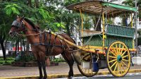 Dokar Andris Dorong Pelestarian Dokar di Palu, Kendaraan Tradisional Masyarakat Kaili yang Kini Hampir Punah