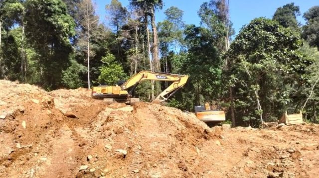 PETI Diduga Kembali Marak di Taopa Utara Pasca Penertiban Gio Barat, Efektivitas Operasi Gakkumhut Dipertanyakan