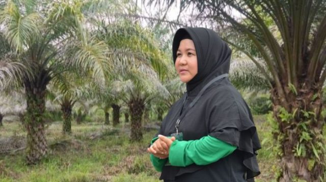 T Kurnia Luwuk Sejati Tegaskan Legalitas dan Minta Kepastian Hukum di Morowali Utara