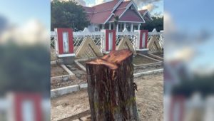 Alasan Gubernur Sulteng Marah Pohon Depan Rujab Ditebang, Hargai Legacy