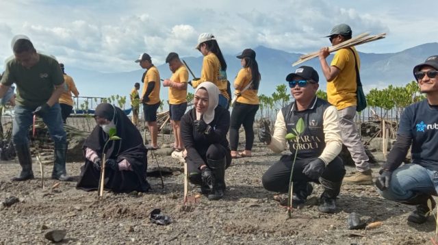Restorasi Kawasan Mangrove, Sutan Raja Hotel Gandeng Rubalang Tanam Bakau di Mamboro Barat
