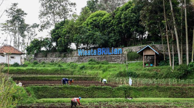 Komitmen Bangun Desa, BRI Raih Penghargaan Nasional 2026