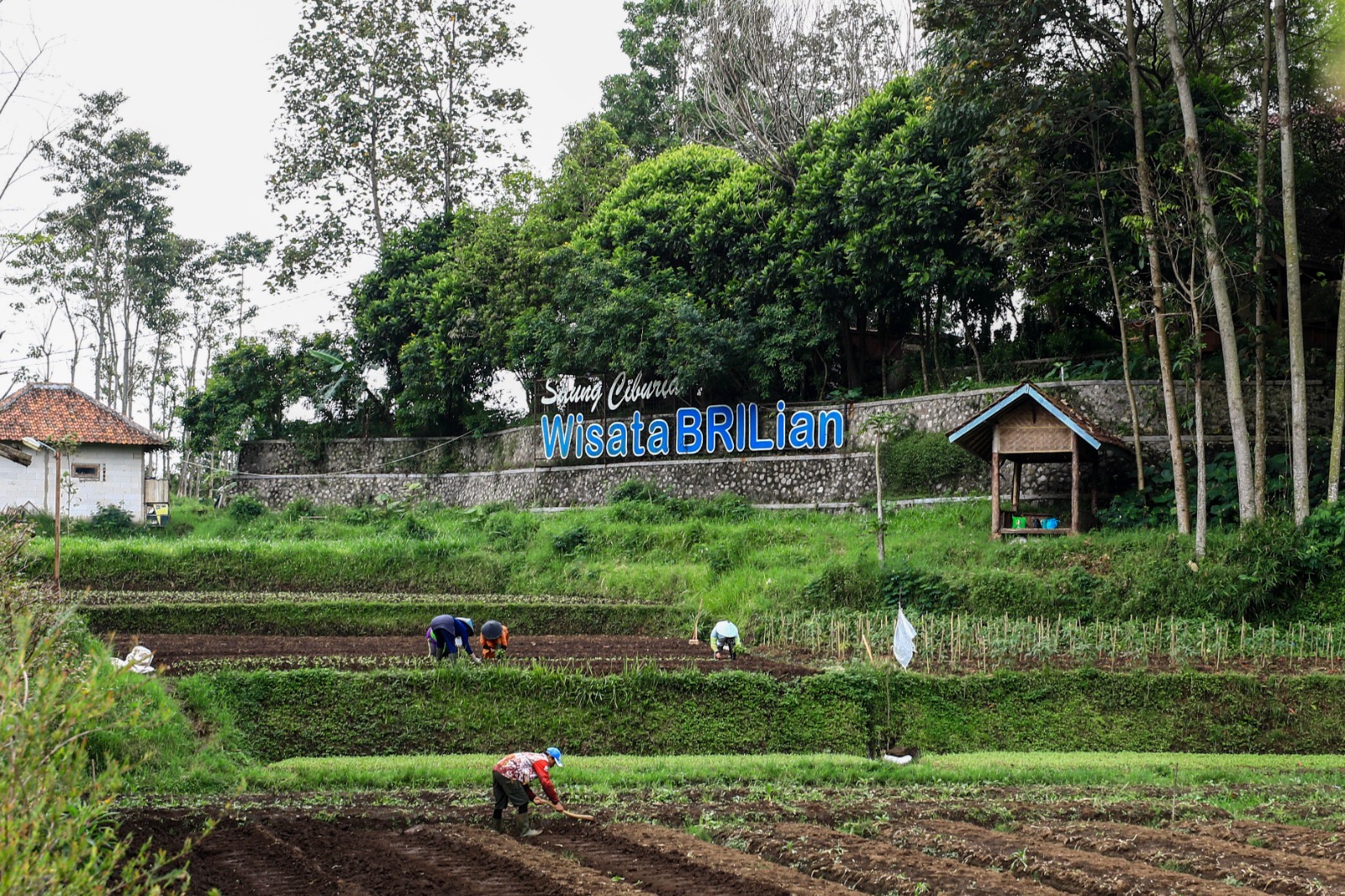 Komitmen Bangun Desa, BRI Raih Penghargaan Nasional 2026