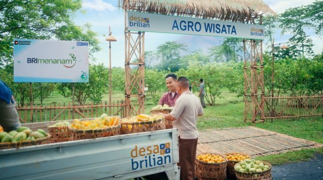 BRI Jangkau 5.245 Desa BRILiaN, Dorong Ekonomi Desa Berkelanjutan