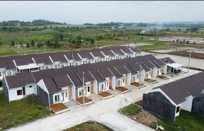 BRI Jadi Kontributor Terbesar Penyaluran Kredit Program Perumahan Nasional