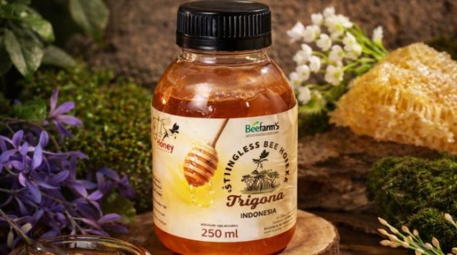 BeeFam’s Kembangkan Usaha Madu Trigona, Manfaatkan LinkUMKM BRI untuk Perluas Pasar