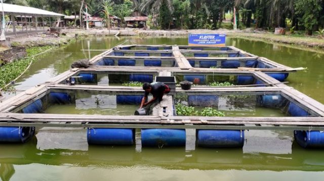 Desa Empang Baru Siak Kembangkan UMKM dan Ekonomi Berkelanjutan Lewat Program