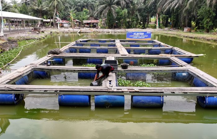 Desa Empang Baru Siak Kembangkan UMKM dan Ekonomi Berkelanjutan Lewat Program