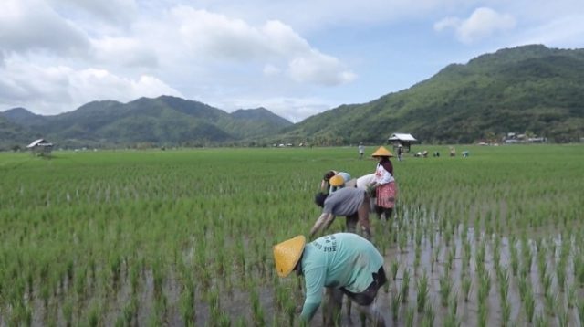 Desa Manemeng Sumbawa Bangun Ekonomi Gotong Royong Lewat Program BRILiaN