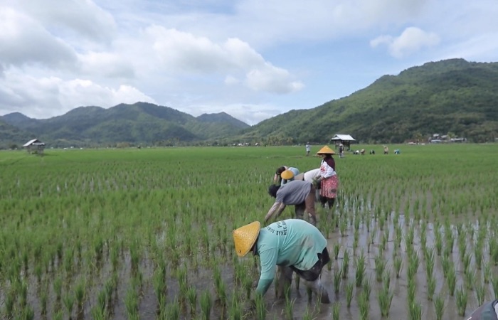 Desa Manemeng Sumbawa Bangun Ekonomi Gotong Royong Lewat Program BRILiaN