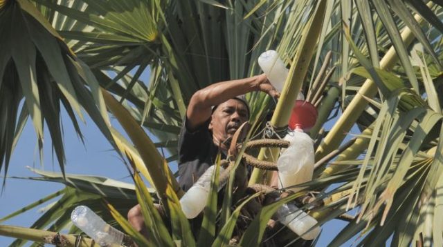 Wisata Lontar Sewu Ubah Desa Hendrosari Jadi Sentra Ekonomi Baru Berkat Pemberdayaan BRILian
