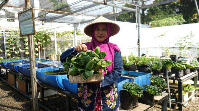 Dari Kartini untuk Bumi: BRI Berdayakan Perempuan Lewat Urban Farming Program BRInita