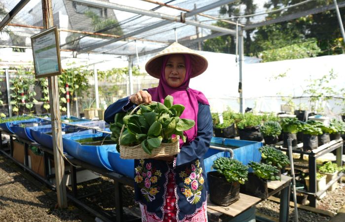 Dari Kartini untuk Bumi: BRI Berdayakan Perempuan Lewat Urban Farming Program BRInita