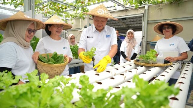 Lahan Tidur di Cakung Disulap Jadi Urban Farming, Program BRInita BRI Perkuat Ketahanan Pangan Warga