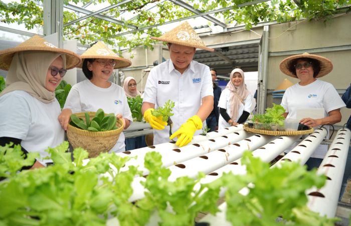 Lahan Tidur di Cakung Disulap Jadi Urban Farming, Program BRInita BRI Perkuat Ketahanan Pangan Warga