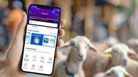 Sambut Iduladha 2026, BRI dan Rumah Zakat Hadirkan Fitur Qurban Digital di BRImo