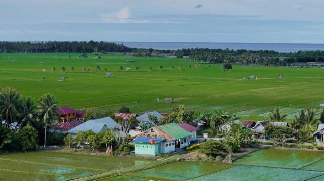 Dari Lokal ke Nasional, Desa Sausu Tambu Jadi Motor Ekonomi Pesisir Lewat Program Desa BRILiaN