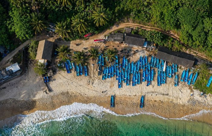 Desa Sumberejo Pacitan Kembangkan Pertanian hingga Wisata Pantai, UMKM Tumbuh Ditopang BRI
