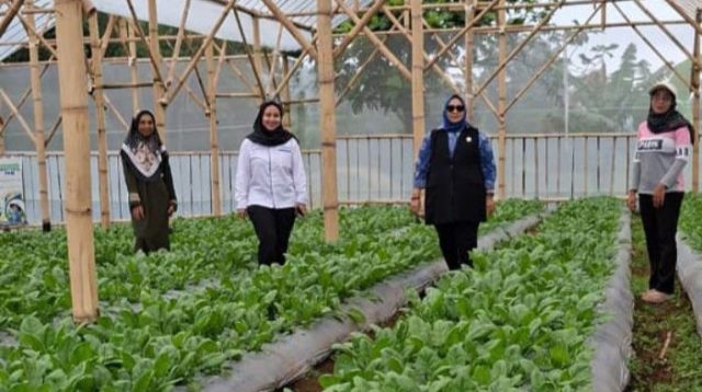 Perempuan Nasabah PNM Mekaar di Bandung Barat Kembangkan Usaha lewat Sinergi Ultra Mikro BRI