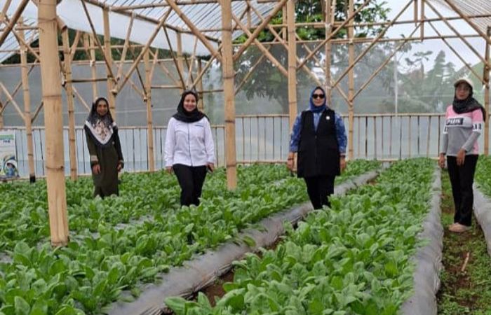 Perempuan Nasabah PNM Mekaar di Bandung Barat Kembangkan Usaha lewat Sinergi Ultra Mikro BRI