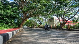 Ehzan, Julita, dan Sekelumit Catatan Pohon Tumbang di Ibukota Kabupaten Parim