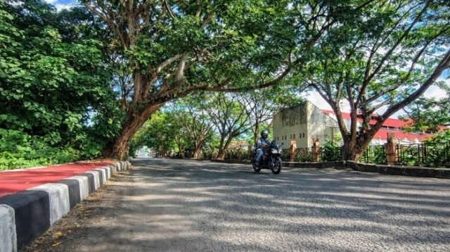 Ehzan, Julita, dan Sekelumit Catatan Pohon Tumbang di Ibukota Kabupaten Parim