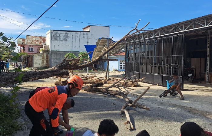 Pohon Tumbang Telan Korban Jiwa di Parimo, Pemkab Disomasi Warga