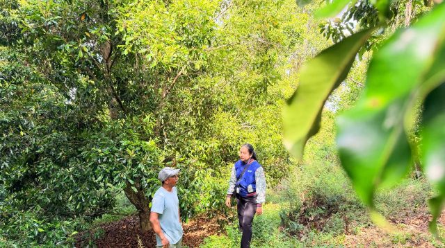 Cerita Inspiratif Mantri BRI di Kolaka Utara, Menembus Pegunungan Demi Menggerakkan Ekonomi Kerakyatan