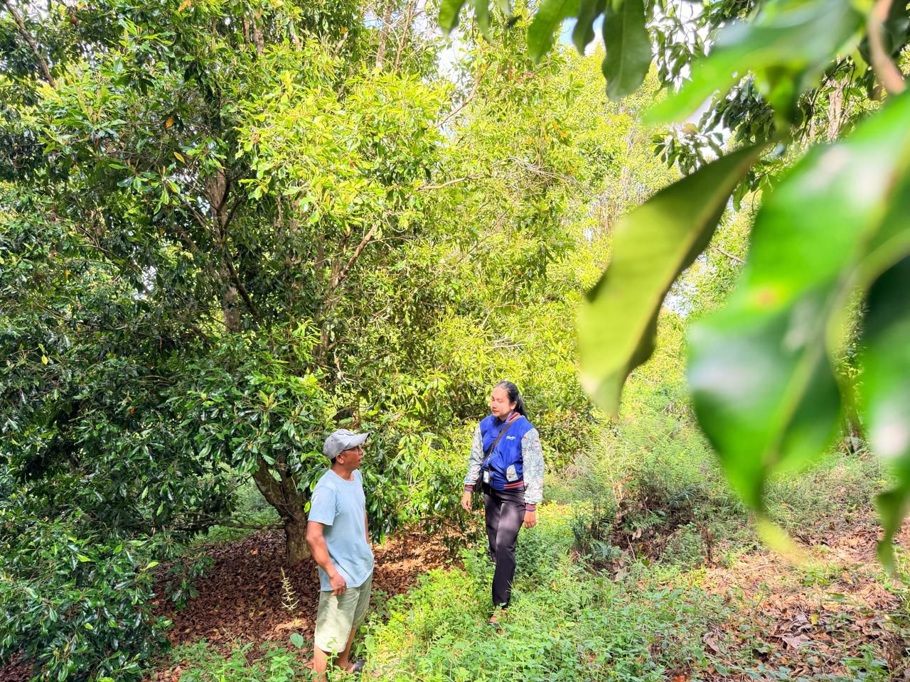 Cerita Inspiratif Mantri BRI di Kolaka Utara, Menembus Pegunungan Demi Menggerakkan Ekonomi Kerakyatan