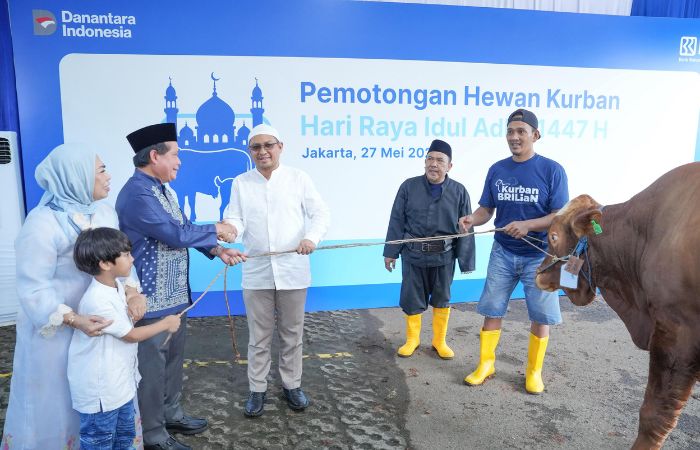 Idul Adha 2026, BRI Group Salurkan Lebih dari 5.000 Hewan Kurban