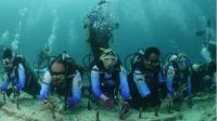 Pulihkan Ekosistem Wisata Laut, Pekerja BRI Lakukan Transplantasi Terumbu Karang di Perairan Kepulauan Sabang