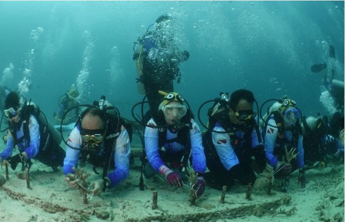 Pulihkan Ekosistem Wisata Laut, Pekerja BRI Lakukan Transplantasi Terumbu Karang di Perairan Kepulauan Sabang