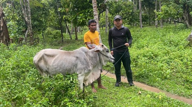 Koperasi Tambang Kayuboko Bagi-bagi Hewan Kurban Hingga Keruk Sungai Cegah Banjir