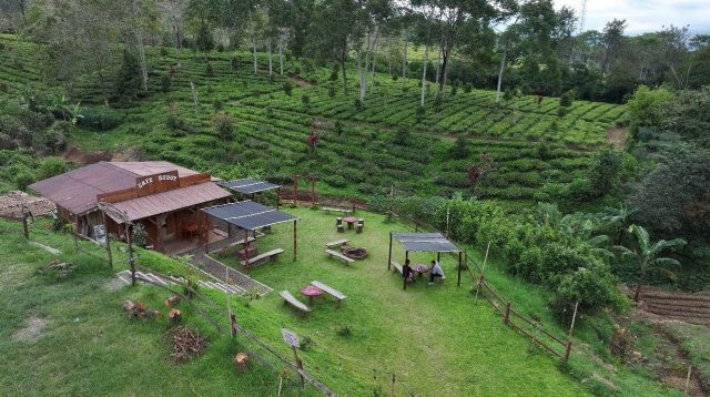 BRI Resmikan Desa BRILiaN 2026, Dorong Transformasi Desa Menuju Era 5.0