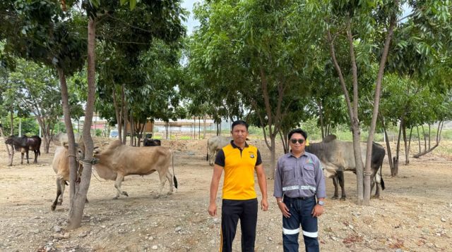 Trinusa Group Salurkan Puluhan Hewan Kurban di Morowali Utara hingga Kota Palu