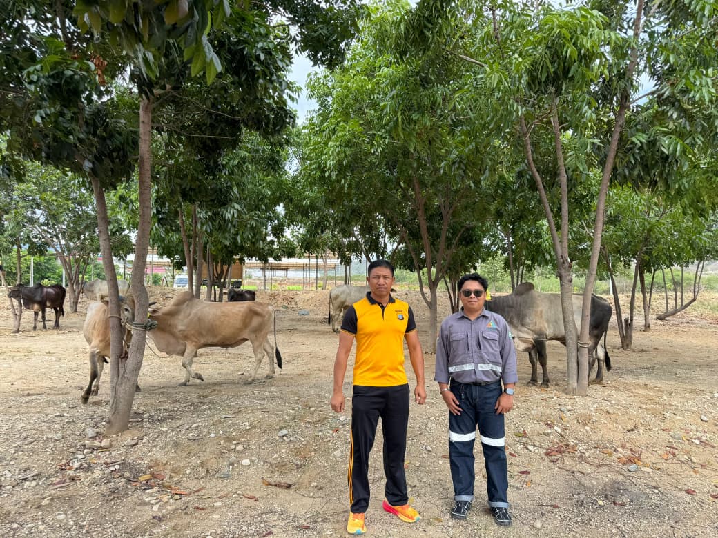 Trinusa Group Salurkan Puluhan Hewan Kurban di Morowali Utara hingga Kota Palu