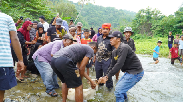 Ritual Morra Keke di Sungai Wuno: Ikhtiar Lima Desa di Sigi Meminta Hujan