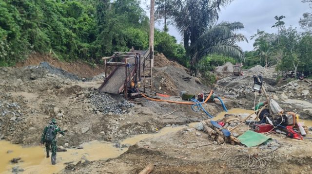 Peti Tombi Beroperasi Lagi, Diduga Libatkan Pemodal Asal Sulsel