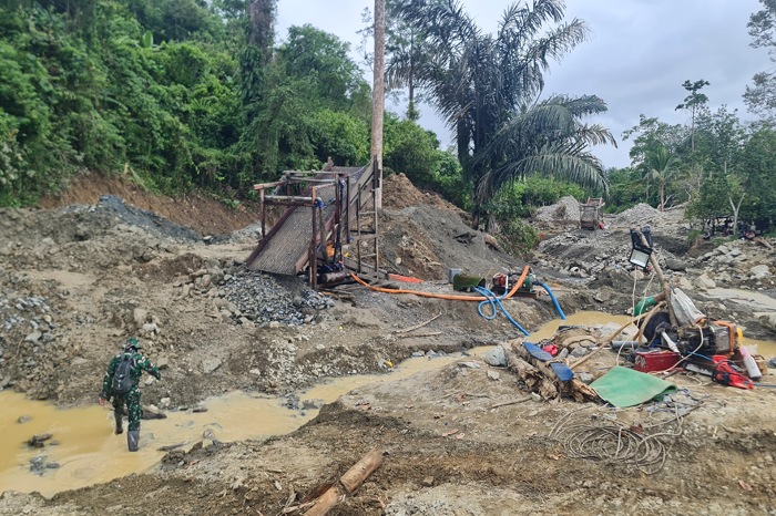 Peti Tombi Beroperasi Lagi, Diduga Libatkan Pemodal Asal Sulsel