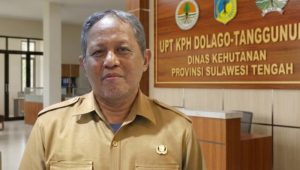 Dilema Gakkum dan KPH: Didahului Polisi, Hasil Tangkapan Raib