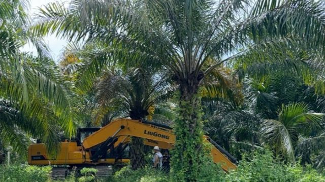 Puji Polisi, Anggota Komisi III DPRD Sulteng Desak Penertiban Peti Diperluas