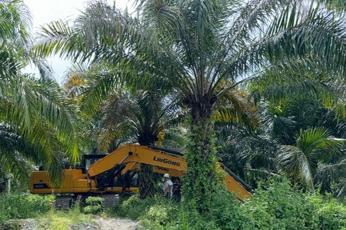 Puji Polisi, Anggota Komisi III DPRD Sulteng Desak Penertiban Peti Diperluas